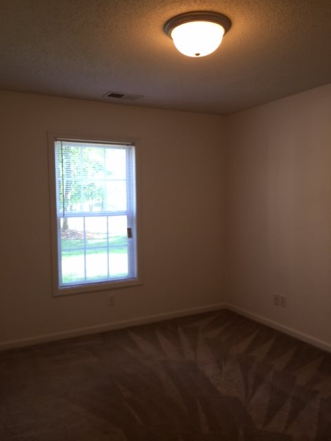 Gallery Photo 4